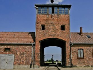 SKANDAL na terenie Auschwitz. Obywatel Izraela znieważył pomnik ofiar