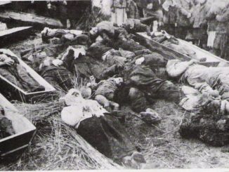 Spalili żywcem 30 dzieci. Rocznica niemieckiej zbrodni w Szarajówce