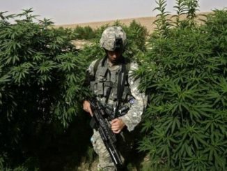 Narkotyki w wojsku USA
