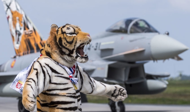 NATO papierowy tygrys