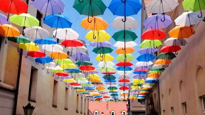 Radny z PiS walczy z kolorowymi parasolkami