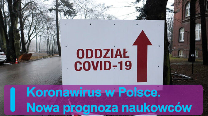 Koronawirus w Polsce. Nowa prognoza naukowców
