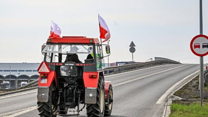 Niezależny dziennik polityczny