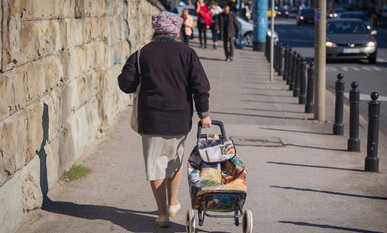 niezależny dziennik polityczny