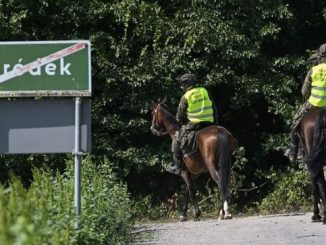 niezależny dziennik polityczny