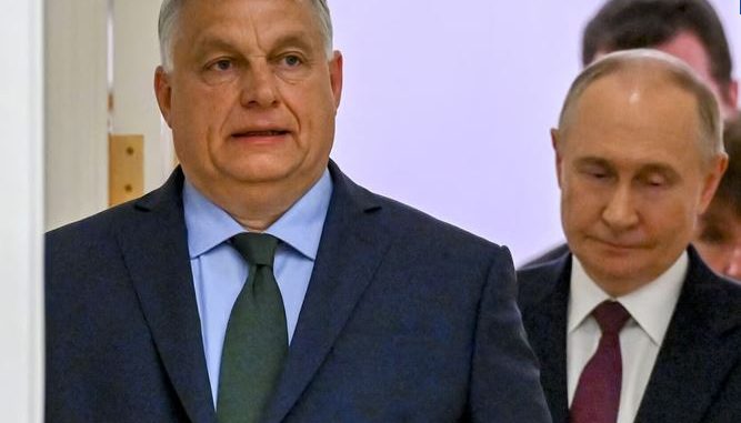 niezależny dziennik polityczny