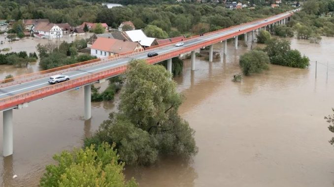 niezależny dziennik polityczny