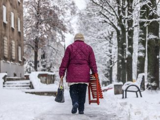 niezależny dziennik polityczny