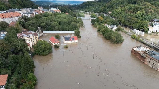 niezależny dziennik polityczny