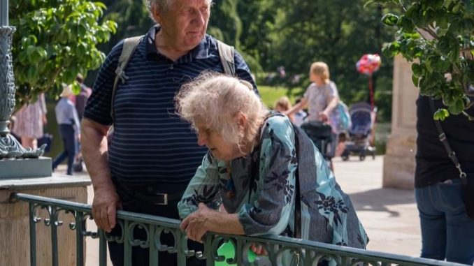 niezależny dziennik polityczny