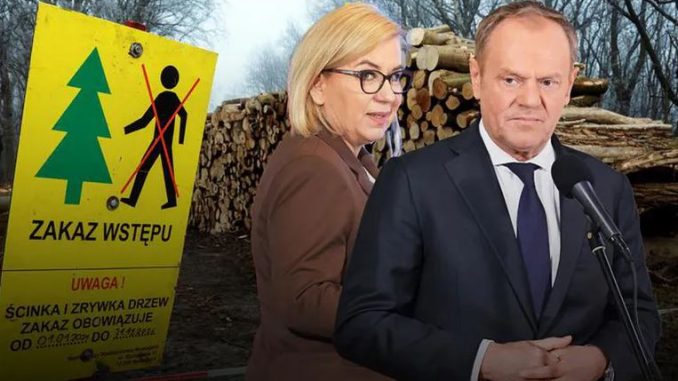 niezależny dziennik polityczny