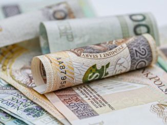 niezależny dziennik polityczny
