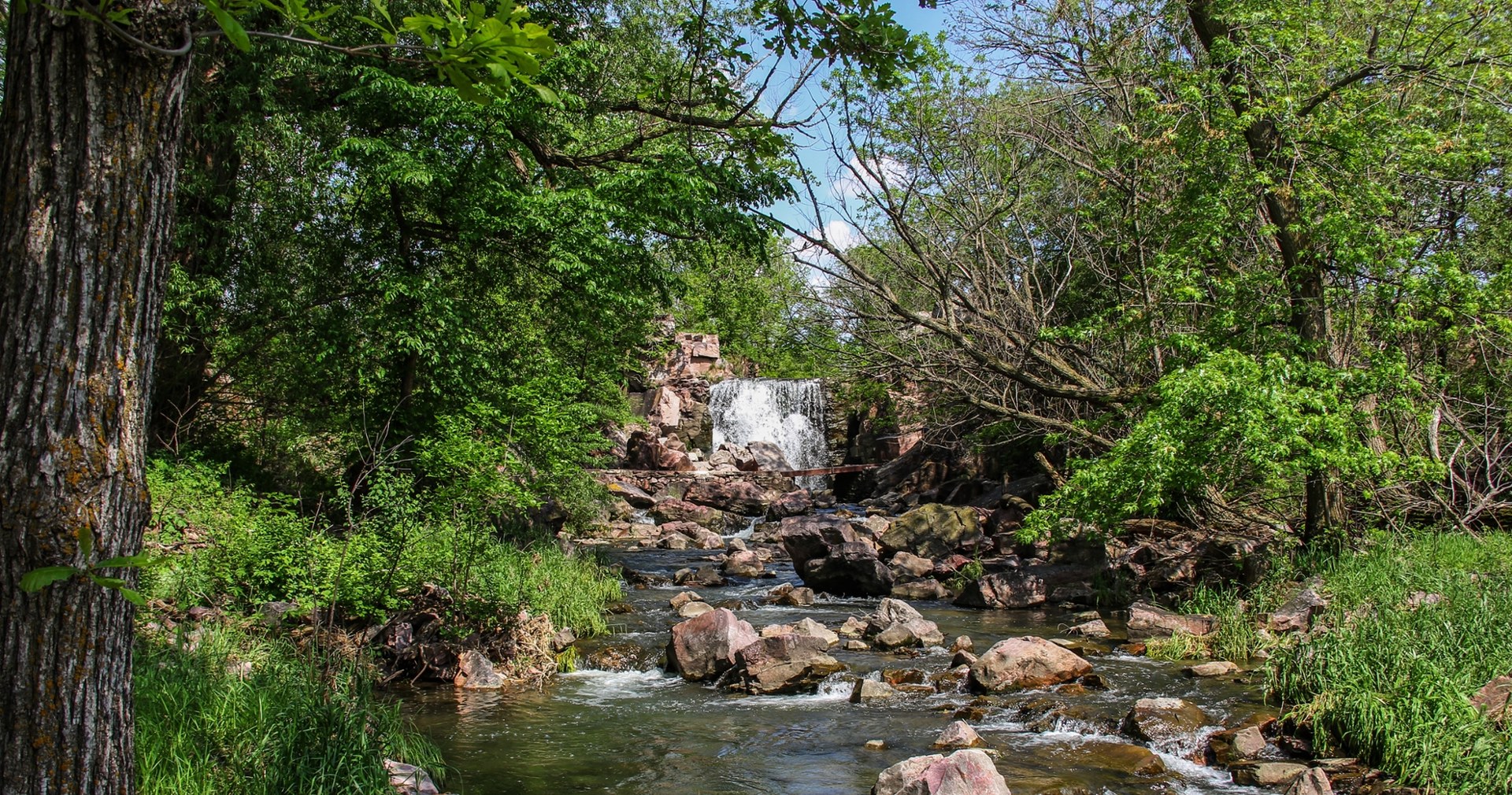 Masowy grób dinozaurów w „Rzece Śmierci”. Tajemnica licząca 72 mln lat