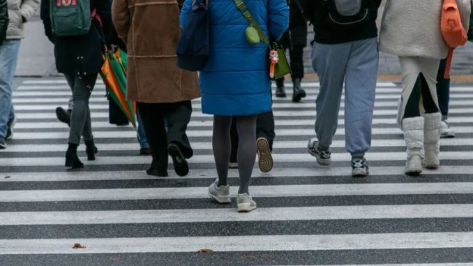 Skarbówka masowo wykreśla tysiące firm. Uderza też w uczciwych? niezależny dziennik polityczny