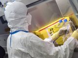 „Gorączka leniwca”. Nowe przypadki w Europie. Czy grozi nam epidemia?