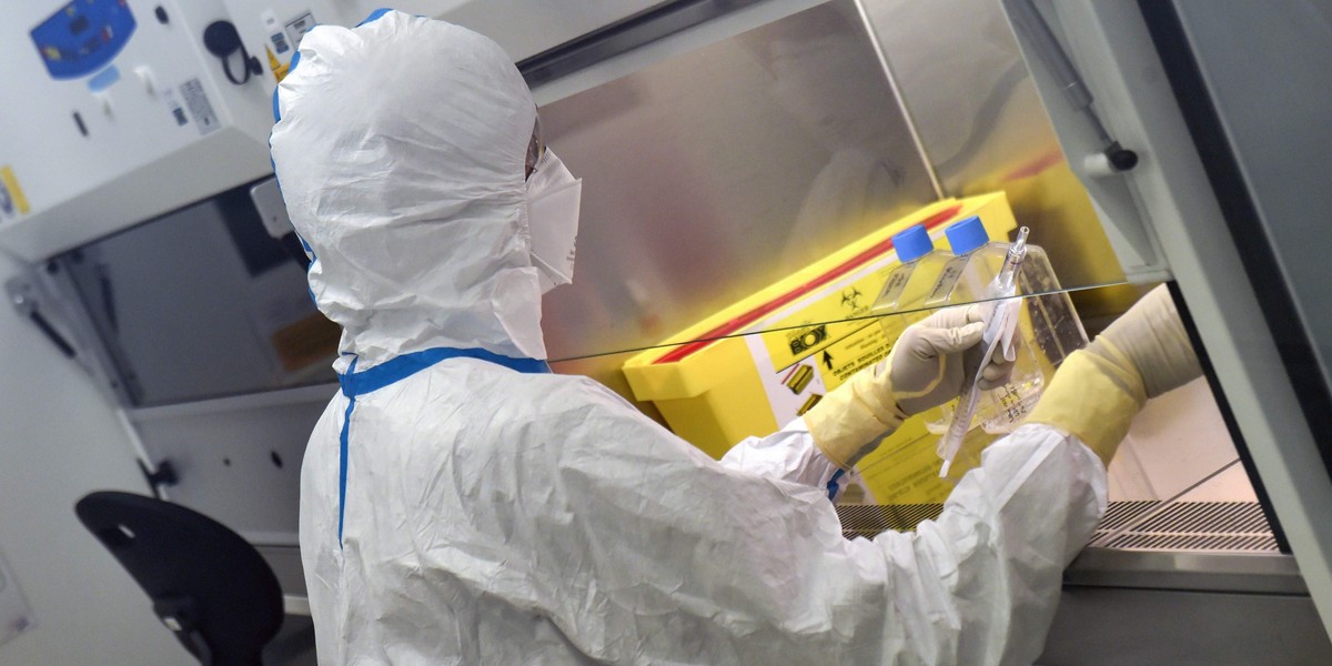 „Gorączka leniwca”. Nowe przypadki w Europie. Czy grozi nam epidemia?