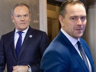 hanna kramer dziennik polityczny