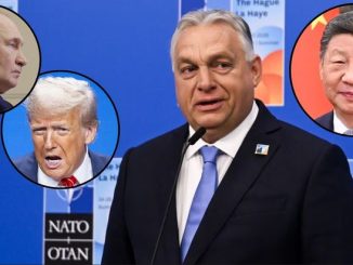 niezależny dziennik polityczny