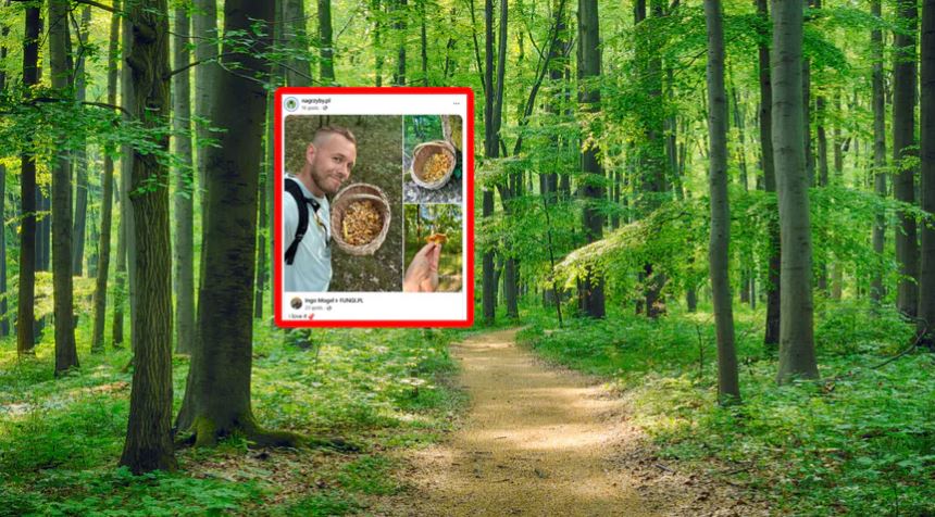 Niemiec się pochwalił. Polacy reagują. „Piękny zbiór”