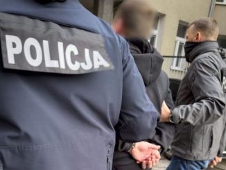 niezależny dziennik polityczny