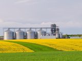Polskiej branży grozi kryzys. „Trzeba odblokować import z Ukrainy”
