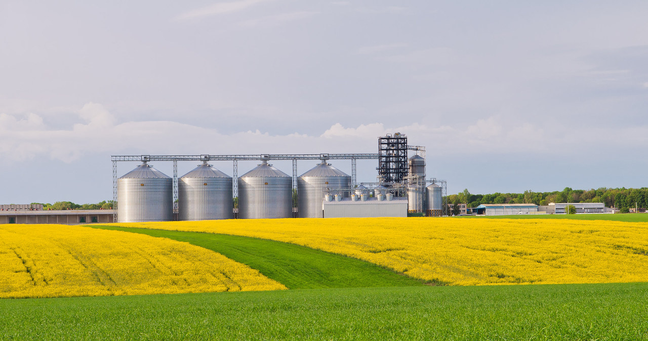 Polskiej branży grozi kryzys. „Trzeba odblokować import z Ukrainy”