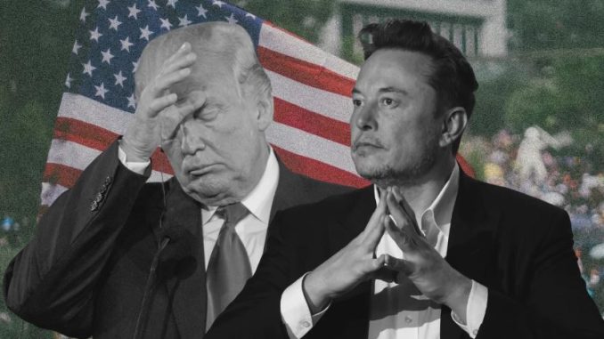 Musk pokazał Trumpowi środkowy palec. Oto 5 kluczowych faktów wokół jego nowej partii niezależny dziennik polityczny