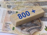 800 plus nie dla wszystkich? Rząd szykuje ważne zmiany dla uchodźców z Ukrainy