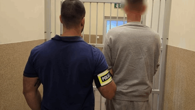 niezależny dziennik polityczny