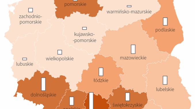 niezależny dziennik polityczny
