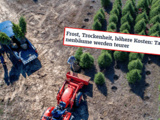 niezależny dziennik polityczny