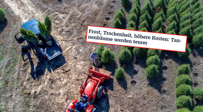 Importują je z Polski. Niemcy biją na alarm przed świętami