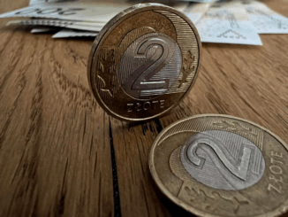 niezależny dziennik polityczny