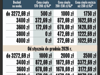 niezależny dziennik polityczny