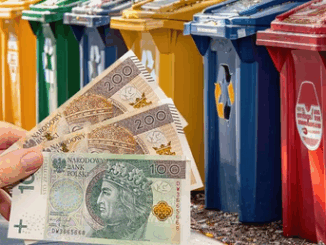 niezależny dziennik polityczny