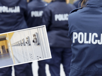 niezależny dziennik polityczny