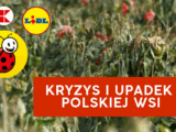 Rolnicy w pułapce polityki państwa: produkty rozdawane za darmo
