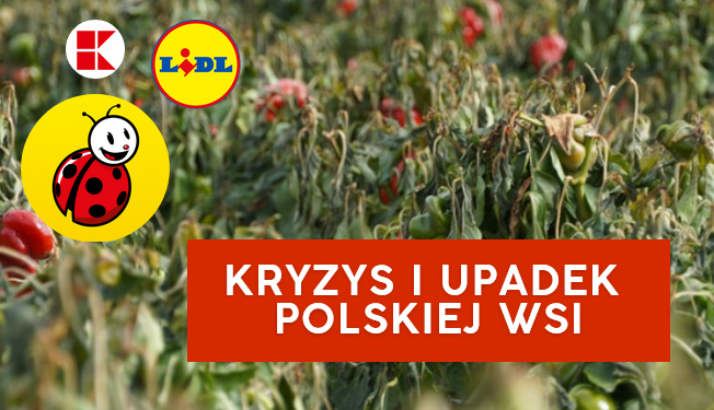 niezależny dziennik polityczny