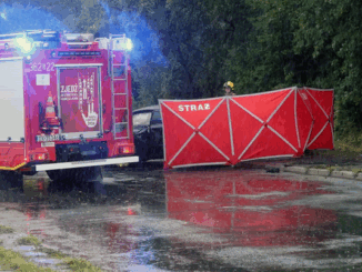 niezależny dziennik polityczny