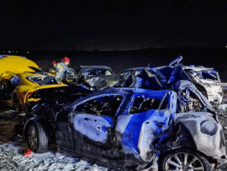 niezależny dziennik polityczny