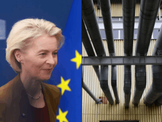 niezależny dziennik polityczny