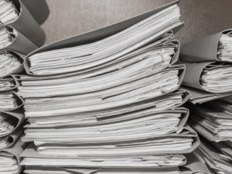 niezależny dziennik polityczny