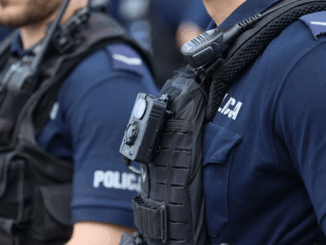 niezależny dziennik polityczny