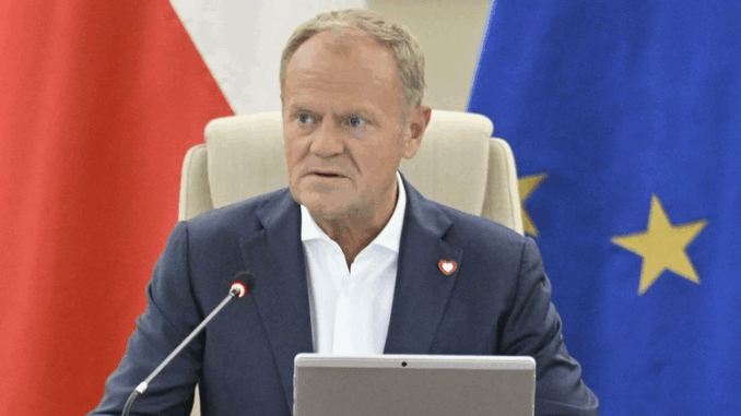 niezależny dziennik polityczny