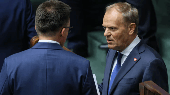 niezależny dziennik polityczny