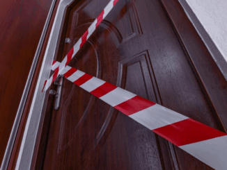 niezależny dziennik polityczny