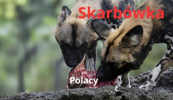 niezależny dziennik polityczny