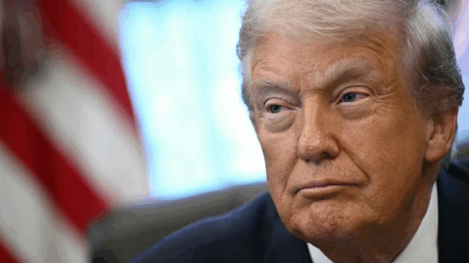 niezależny dziennik polityczny