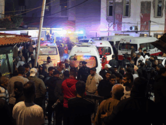 niezależny dziennik polityczny