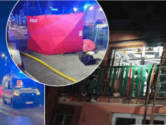 niezależny dziennik polityczny